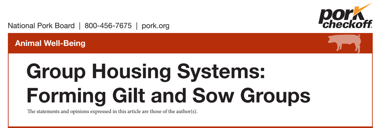 Animal Well-Being | Group Housing Systems: Forming Gilt and Sow Groups